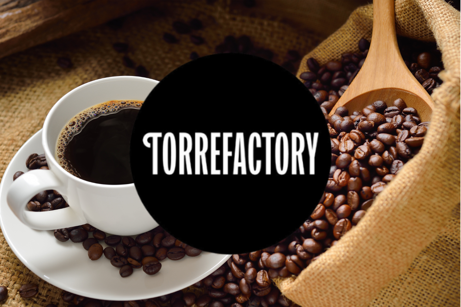 Torrefactory